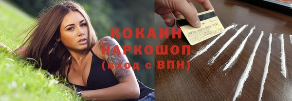 сатива Медногорск