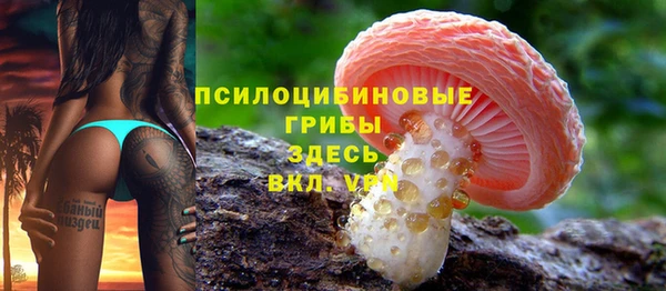 МДПВ Мегион