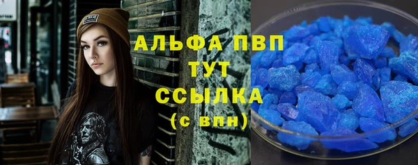 сатива Медногорск