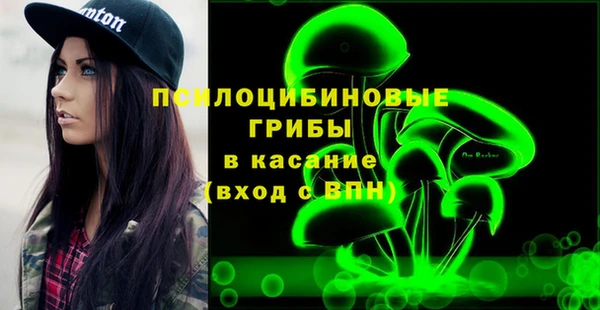 сатива Медногорск