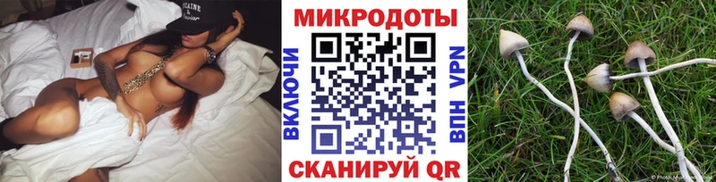 продажа наркотиков  Холмск  МЕГА сайт  Галлюциногенные грибы MAGIC MUSHROOMS 
