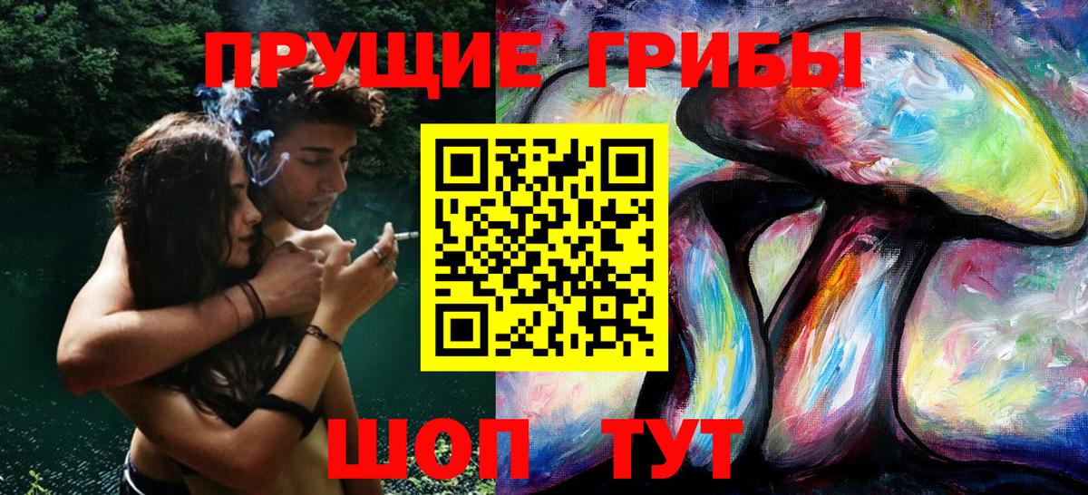 Псилоцибиновые грибы Cubensis Холмск