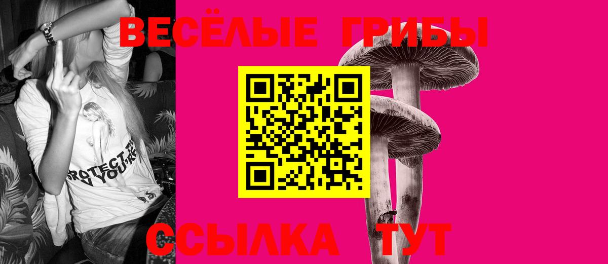 Галлюциногенные грибы мицелий  Вход с VPN  Холмск 